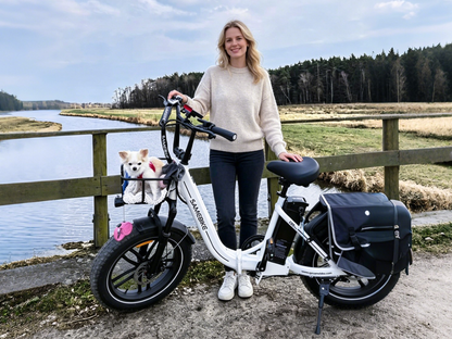 SAMEBIKE C05 Pro Step-Through Folding E-Bike – product image 5